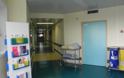 Hématologie