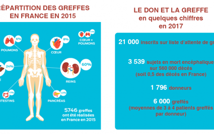 chiffres don organes greffe