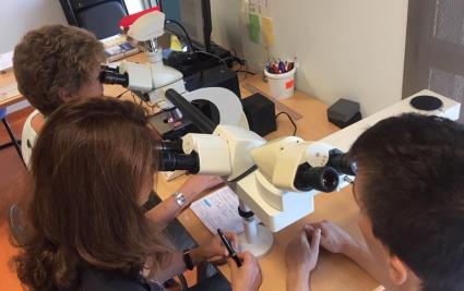Un diagnostique concerté au laboratoire d'anatomo-pathologie Microscope multi-tête pour un diagnostique concerté au laboratoire d'anatomo-pathologie